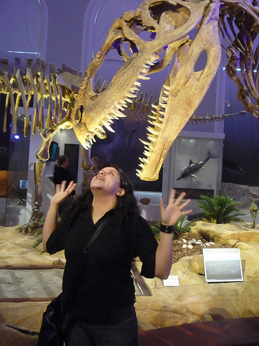 Musée Zoologique d'Helsinki (Finlande)