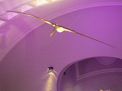 Musée Zoologique d'Helsinki (Finlande)