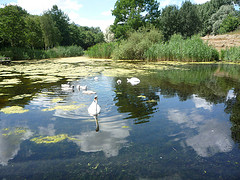 Parc d'Amsterdam