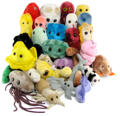 Peluche scientifique