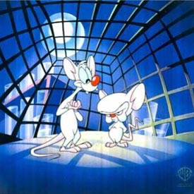 minus et cortex