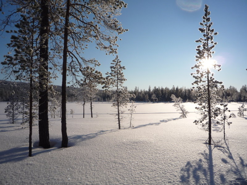 Lappland Korvala