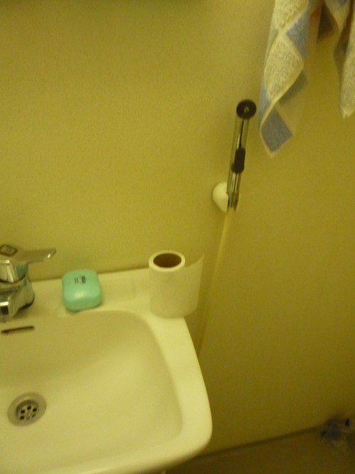 Toilettes finlandaises