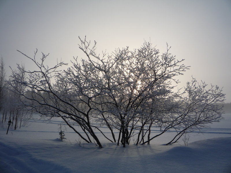 Korvala