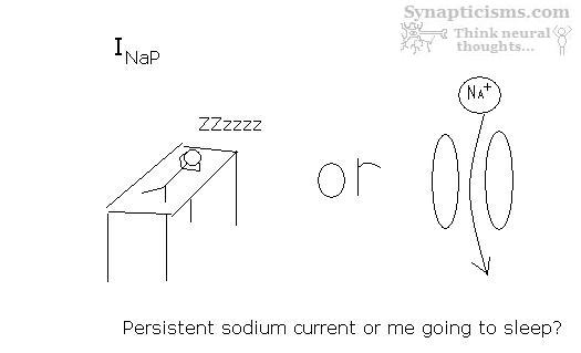 synapticisms