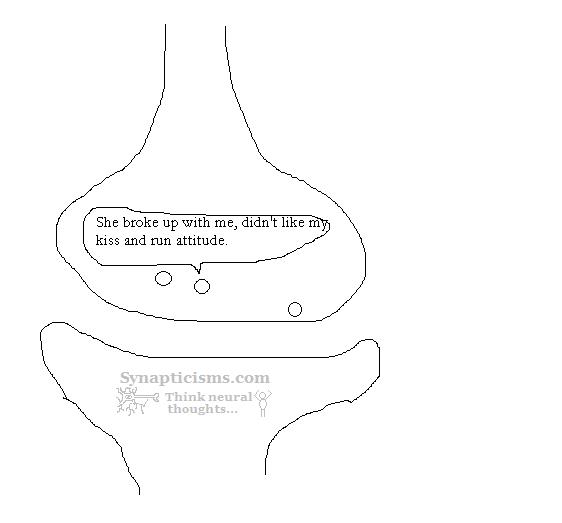 synapticisms