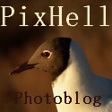 Pix Hell photoblog